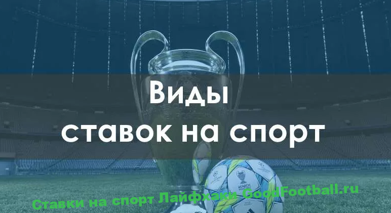Виды ставок на спорт